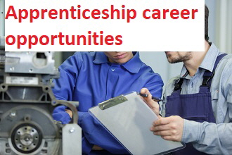Apprenticeship career opportunities