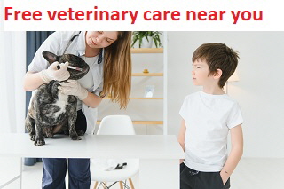 Free veterinary care near you