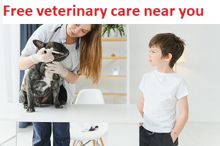 Free veterinary care | Help with vet and pet bills