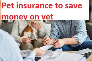 Pet insurance to save money on vet