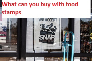 What can you buy with food stamps